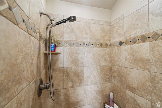 4257 W Lake Bridge Dr S, South Jordan, UT 84009 - bathroom view of a tile shower