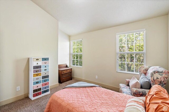 4257 W Lake Bridge Dr S, South Jordan, UT 84009 - bedroom featuring light colored carpet and vaulted ceiling