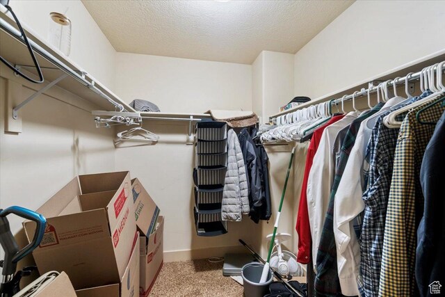 4257 W Lake Bridge Dr S, South Jordan, UT 84009 - walk in closet with carpet floors