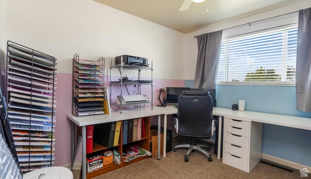 176 E Brook Ave N, Tooele, UT 84074 - carpeted office space with ceiling fan