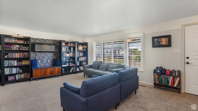 176 E Brook Ave N, Tooele, UT 84074 - view of carpeted living room