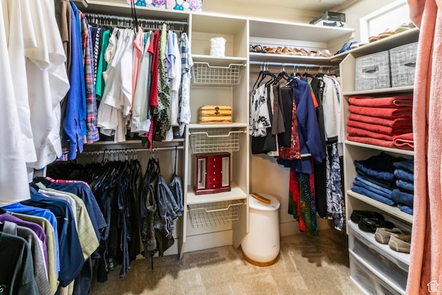 191 W Ranch Rd, Farmington, UT 84025 - walk in closet with carpet floors
