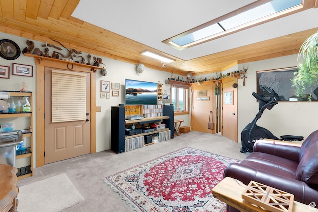 966 Mill Rd, Evanston, WY 82930 - living area with carpet flooring and wood ceiling