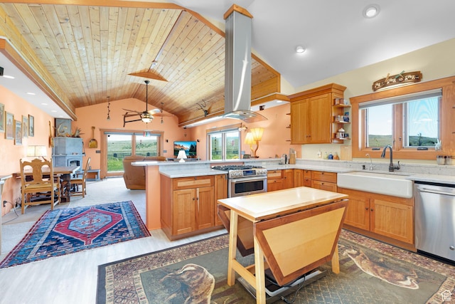 966 Mill Rd, Evanston, WY 82930 - kitchen with appliances with stainless steel finishes, island exhaust hood, a peninsula, lofted ceiling, and light wood-style floors