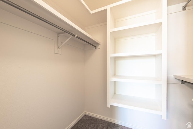 1735 W 540 N Unit 1303, St George, UT 84770 - walk in closet featuring carpet floors