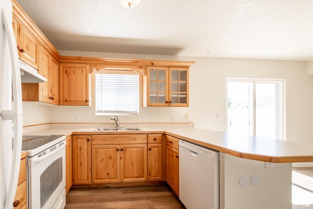 1735 W 540 N Unit 1303, St George, UT 84770 - kitchen featuring white appliances, a peninsula, light wood finished floors, and light countertops