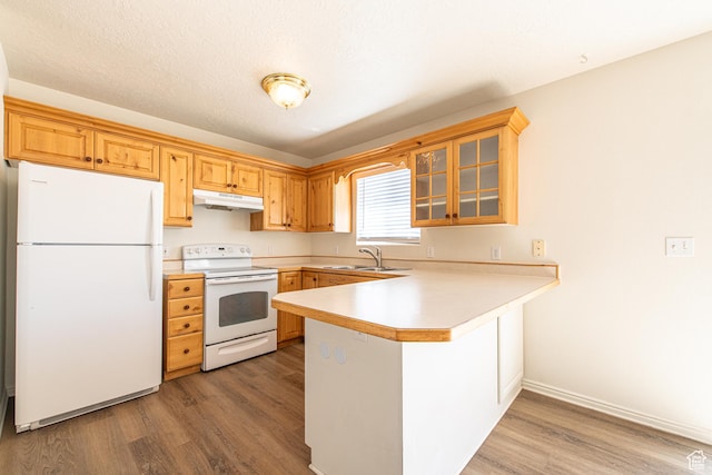 1735 W 540 N Unit 1303, St George, UT 84770 - kitchen with white appliances, a peninsula, under cabinet range hood, wood finished floors, and glass insert cabinets