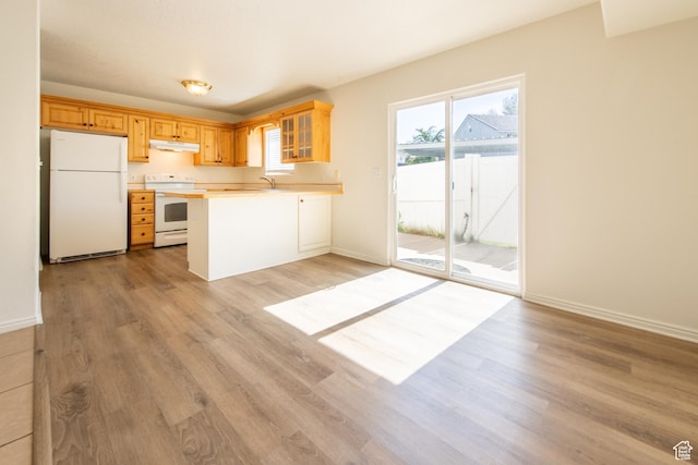 1735 W 540 N Unit 1303, St George, UT 84770 - kitchen featuring white appliances, under cabinet range hood, light wood-style flooring, glass insert cabinets, and light countertops