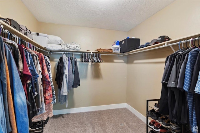 210 E 2150 N, North Ogden, UT 84414 - spacious closet with carpet flooring