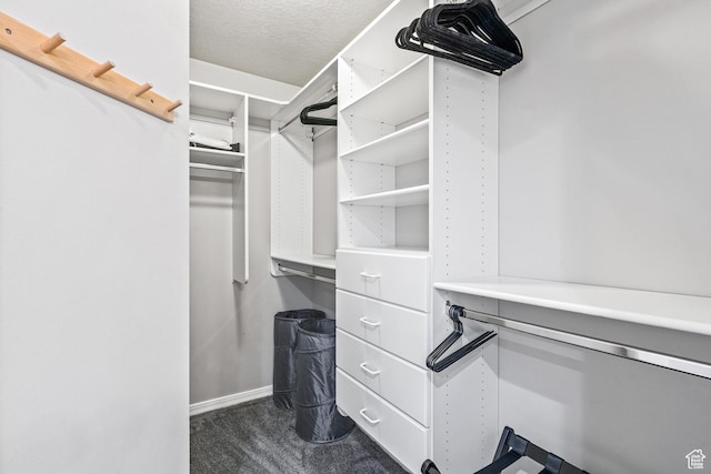 93 S 1250 E, Logan, UT 84321 - walk in closet with dark carpet