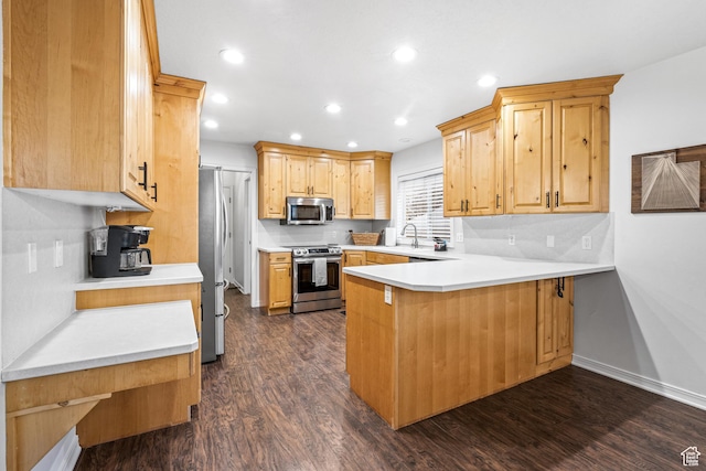 93 S 1250 E, Logan, UT 84321 - kitchen featuring stainless steel appliances, a peninsula, dark wood-type flooring, light countertops, and recessed lighting