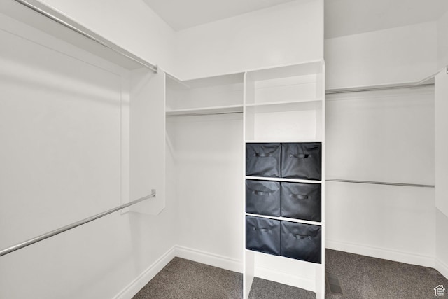 3179 W Hayden Ridge Way S, Riverton, UT 84065 - walk in closet featuring dark carpet