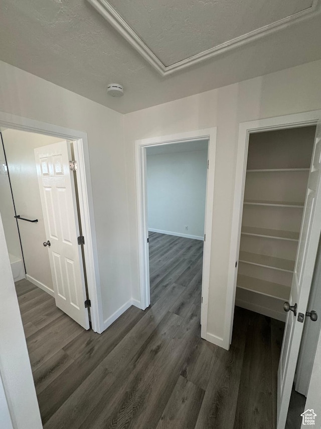 3923 W 5820 S, Taylorsville, UT 84118 - corridor with dark wood-style flooring