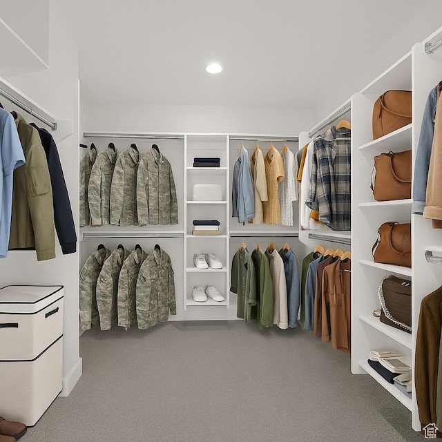 3636 N 500 E, North Ogden, UT 84414 - walk in closet featuring carpet flooring