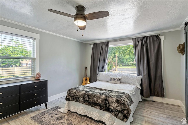 104 E 650 N, Bountiful, UT 84010 - bedroom with multiple windows, a textured ceiling, light wood-type flooring, ornamental molding, and ceiling fan