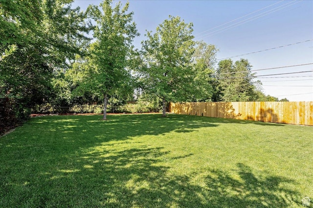 104 E 650 N, Bountiful, UT 84010 - view of yard