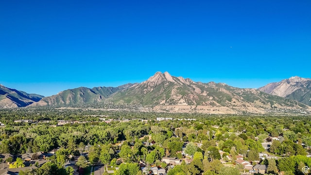 1309 E Hidden Creek Ct S, Holladay, UT 84117 - mountain view