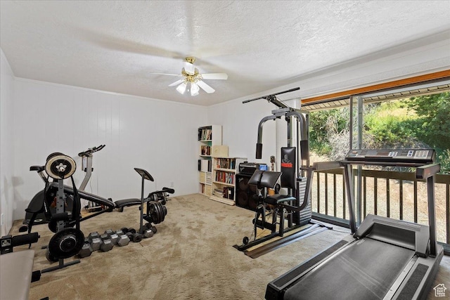 2391 Kays Creek Dr, Layton, UT 84040 - workout area with ceiling fan, a textured ceiling, carpet flooring, and ornamental molding