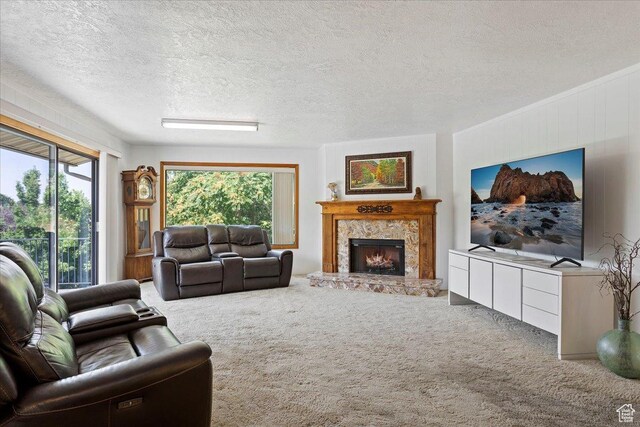 2391 Kays Creek Dr, Layton, UT 84040 - carpeted living room featuring a fireplace and a textured ceiling