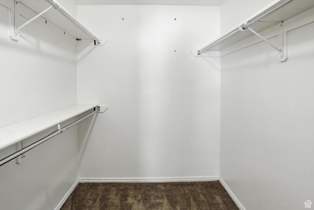 452 E 875 N, Ogden, UT 84404 - walk in closet with carpet floors