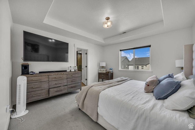 12357 S Eovaldi Ave, Herriman, UT 84096 - bedroom with a tray ceiling and light carpet