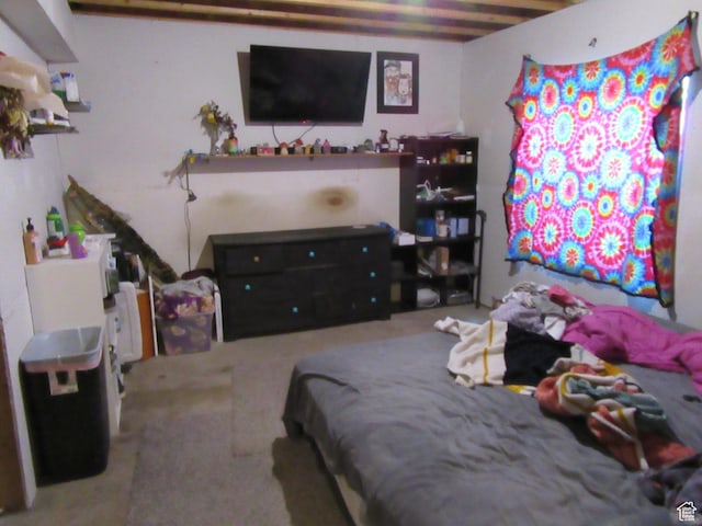 544 E 1875 S, Roosevelt, UT 84066 - bedroom with carpet floors