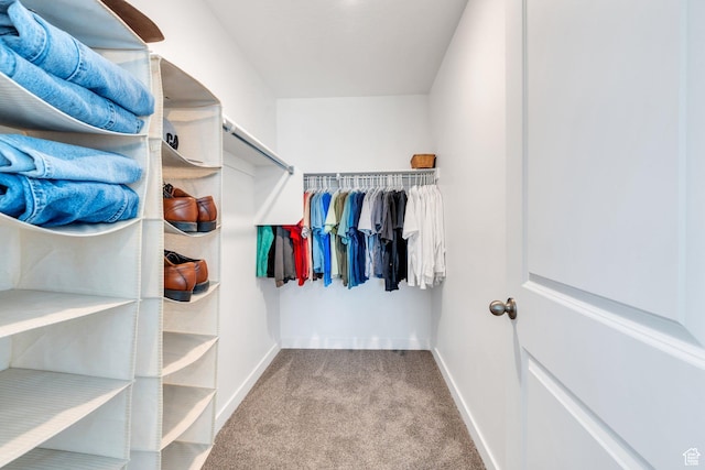 1127 W Hidden Spring Dr, Santaquin, UT 84655 - walk in closet with carpet