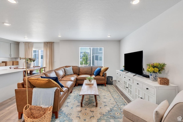 1127 W Hidden Spring Dr, Santaquin, UT 84655 - living area featuring light wood-type flooring and recessed lighting