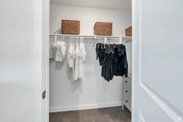 1127 W Hidden Spring Dr, Santaquin, UT 84655 - view of closet