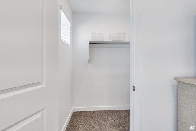 1127 W Hidden Spring Dr, Santaquin, UT 84655 - spacious closet featuring carpet