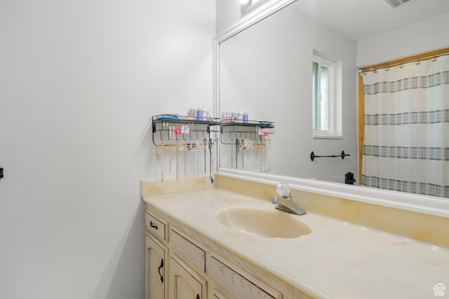 958 N Main St W, Farmington, UT 84025 - bathroom with vanity and a shower with shower curtain