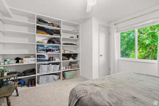 958 N Main St W, Farmington, UT 84025 - bedroom with carpet flooring and ceiling fan
