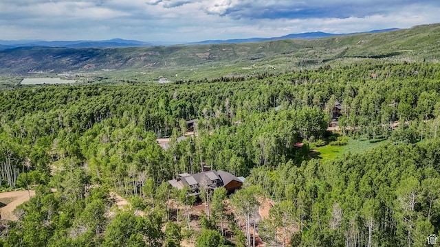11301 E Marigold Ln Unit 1670, Heber City, UT 84032 - drone / aerial view of a heavily wooded area and a mountainous background