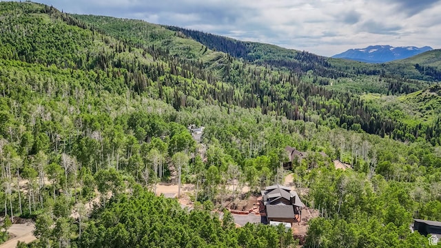 11301 E Marigold Ln Unit 1670, Heber City, UT 84032 - aerial view of a forest and a mountainous background
