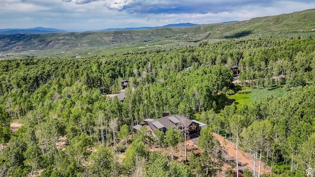 11301 E Marigold Ln Unit 1670, Heber City, UT 84032 - drone / aerial view of a mountainous background