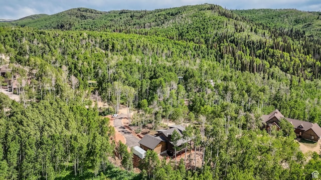 11301 E Marigold Ln Unit 1670, Heber City, UT 84032 - drone / aerial view of a forest and mountains