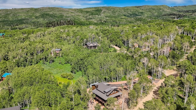 11301 E Marigold Ln Unit 1670, Heber City, UT 84032 - aerial view of a heavily wooded area