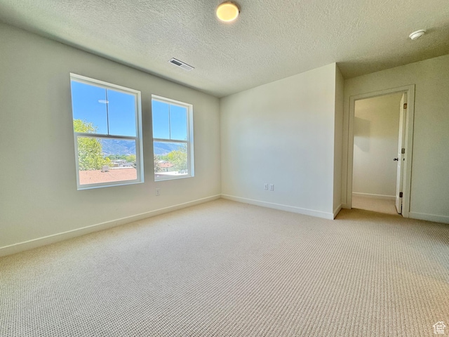 1650 N Main St N Unit 116, Layton, UT 84041 - spare room featuring light colored carpet, a textured ceiling, and a smoke detector