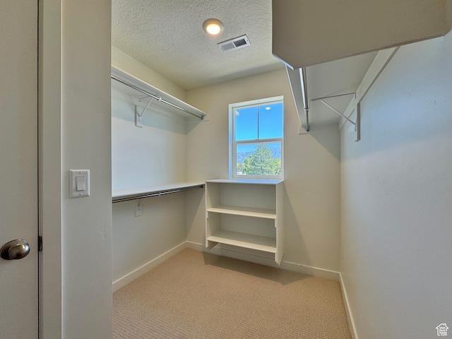 1650 N Main St N Unit 116, Layton, UT 84041 - spacious closet with light colored carpet
