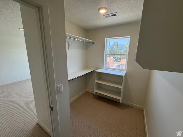 1650 N Main St N Unit 116, Layton, UT 84041 - walk in closet with carpet floors