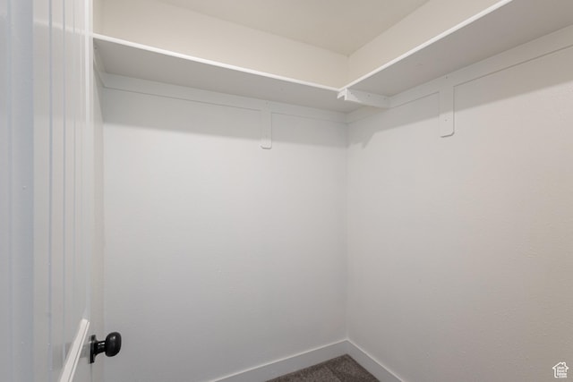 1919 E Church Way, Eagle Mountain, UT 84005 - walk in closet with carpet floors