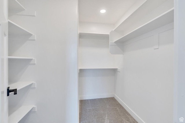 7625 N Silver Creek Way, Eagle Mountain, UT 84005 - walk in closet with carpet