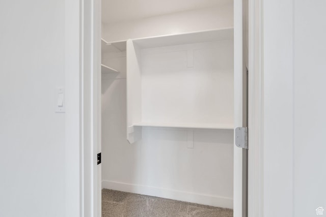 7625 N Silver Creek Way, Eagle Mountain, UT 84005 - spacious closet featuring carpet floors