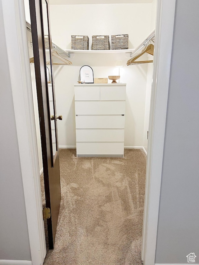 920 S 940 W, Richfield, UT 84701 - walk in closet featuring carpet