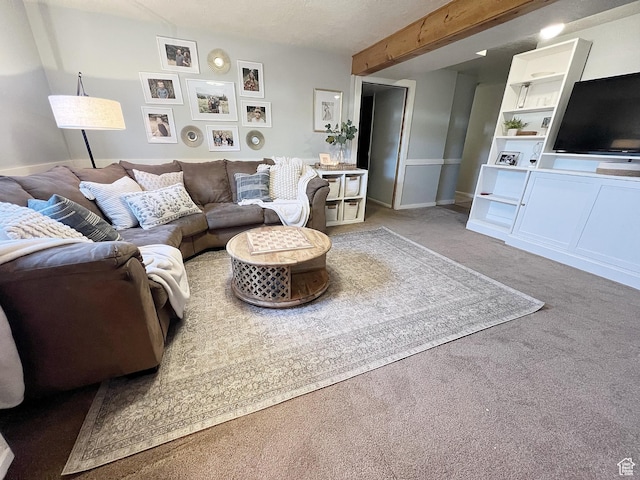 920 S 940 W, Richfield, UT 84701 - living room with carpet flooring and beam ceiling