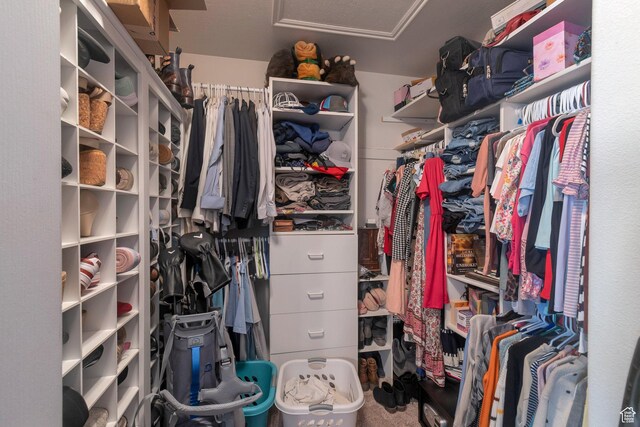 2714 E Stony Hill Way S, Spanish Fork, UT 84660 - walk in closet with attic access