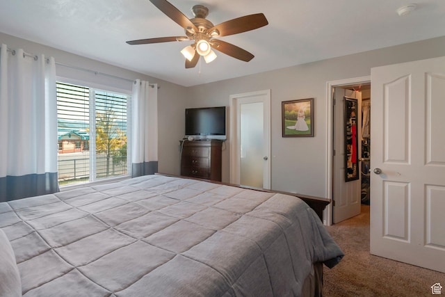 2714 E Stony Hill Way S, Spanish Fork, UT 84660 - bedroom featuring a walk in closet, light colored carpet, a closet, and a ceiling fan