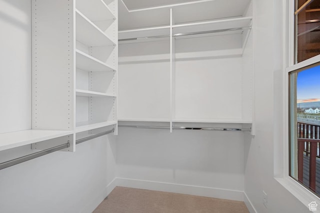 6658 W Docksider Dr, South Jordan, UT 84009 - view of walk in closet