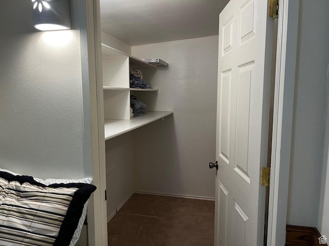 840 N Twin Lakes Dr Unit 225, St George, UT 84770 - walk in closet featuring dark colored carpet