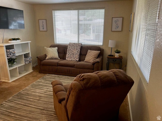 840 N Twin Lakes Dr Unit 225, St George, UT 84770 - living room with healthy amount of natural light and carpet